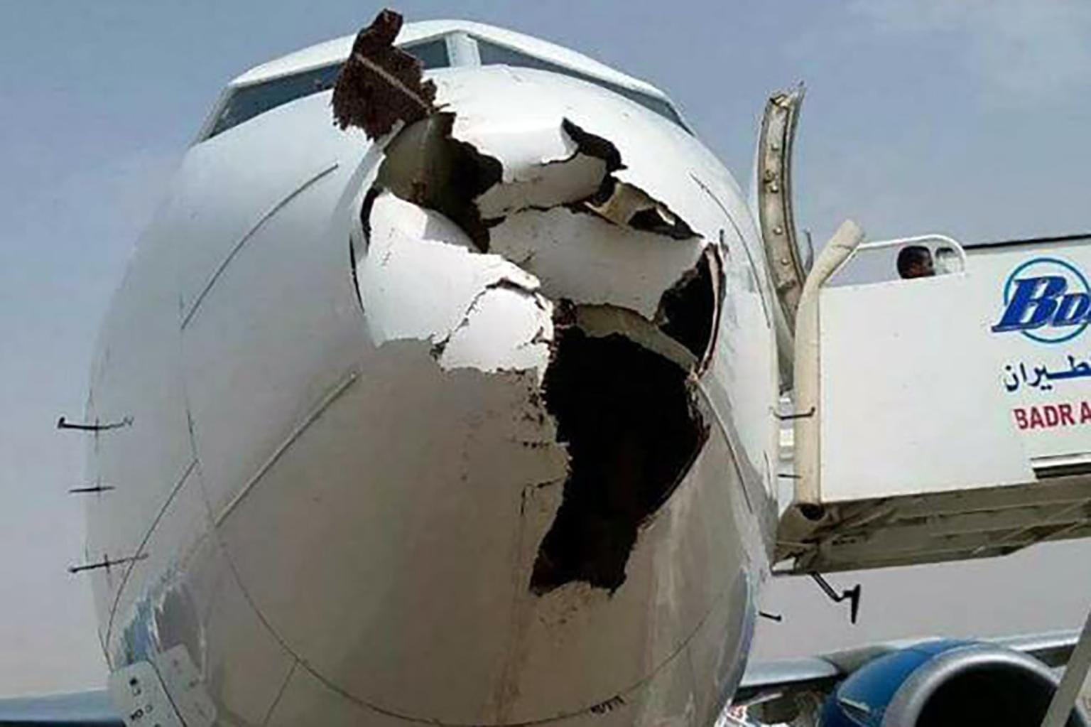 What Happens When Birds Hit an Airplane?