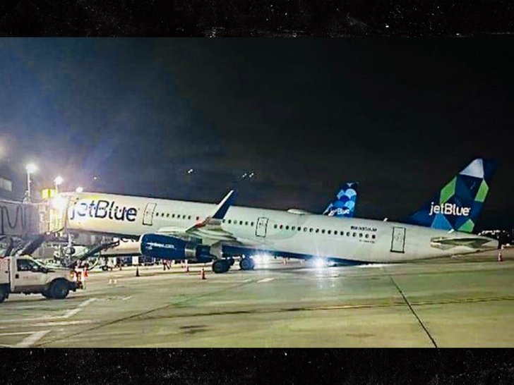                      JetBlue Airplane Tips Over at JFK - Why That Happens?                             
                     